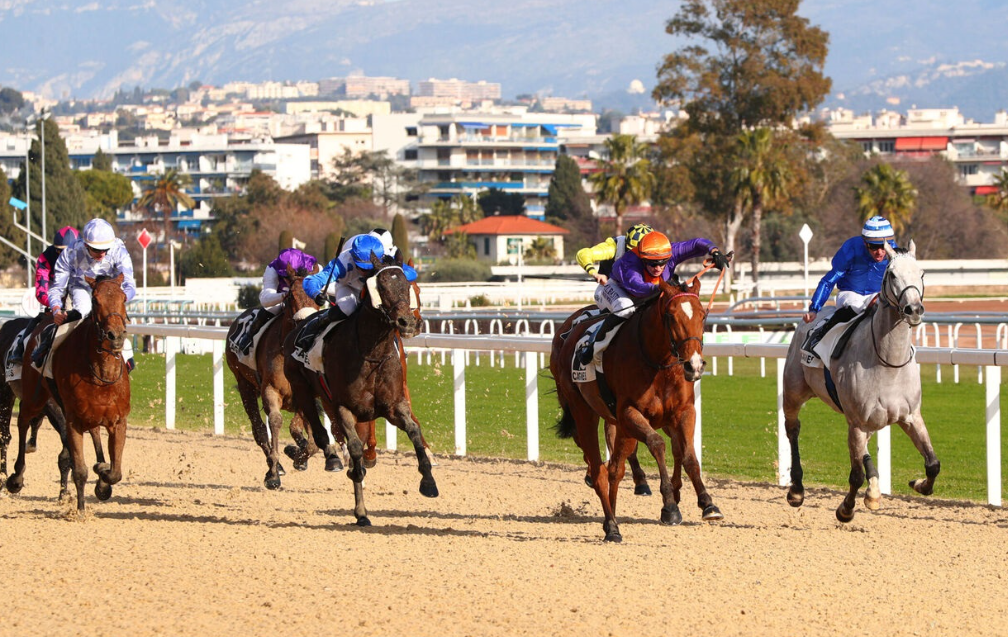 gazettedupmu || gazettedupmu2